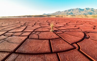 Giornata Mondiale contro la desertificazione