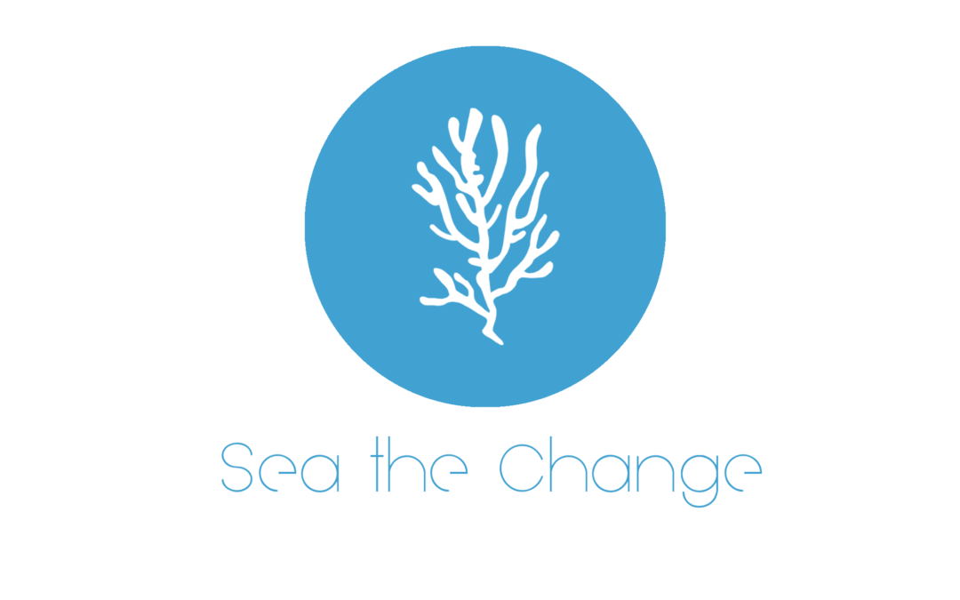 Sea The Change: guardare all’economia ambiente nelle acque del mare