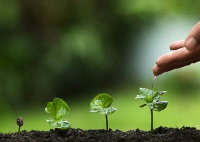 Olimpiadi di Parigi, con la medaglia gli Azzurri vincitori riceveranno in dono anche un albero e l’attestato di “ambasciatore dell’ambiente”. Un’idea lanciata a giugno da Pianeta 2030