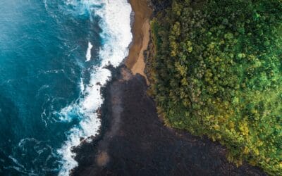 Il mare con le pale. I si, i no e lo Stato nella burrasca