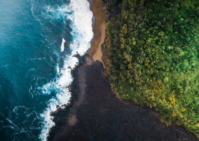 Il mare con le pale. I si, i no e lo Stato nella burrasca