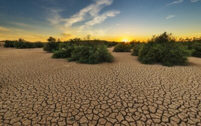 La crisi climatica ha reso più grave e più probabile la siccità di quest’estate in Sicilia e Sardegna