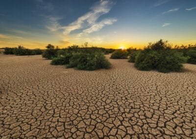 La crisi climatica ha reso più grave e più probabile la siccità di quest’estate in Sicilia e Sardegna