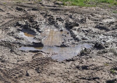 Da scarto a tesoro: acqua ed energia pulite rinascono dai fanghi