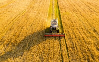 L’agrobiologia nel futuro delle campagne. Un messaggio anche dal Veneto