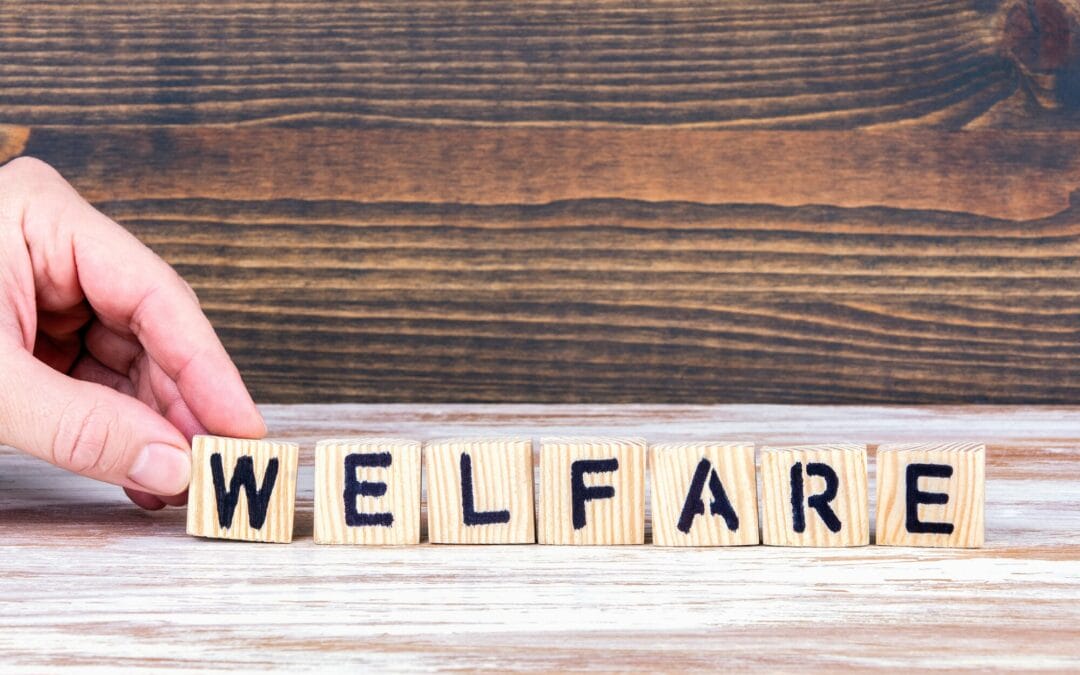 Welfare e sostenibilità: chi rispetta il diversity management?