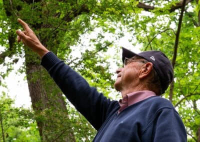 Le memorie degli alberi